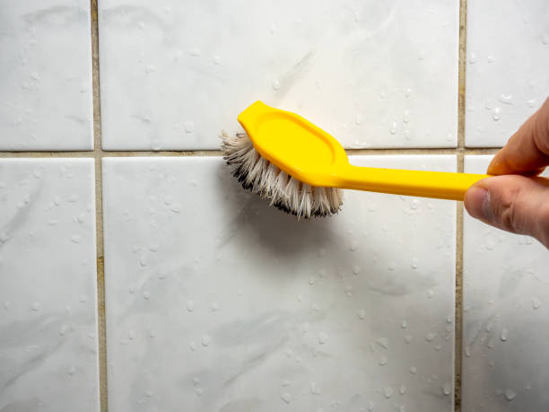 Best Mold Remediation for Schools in Clton, IN
