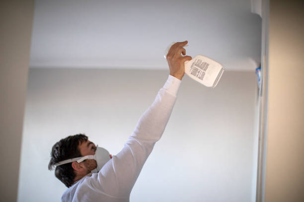 Best Post-Flood Mold Remediation in Clton, IN